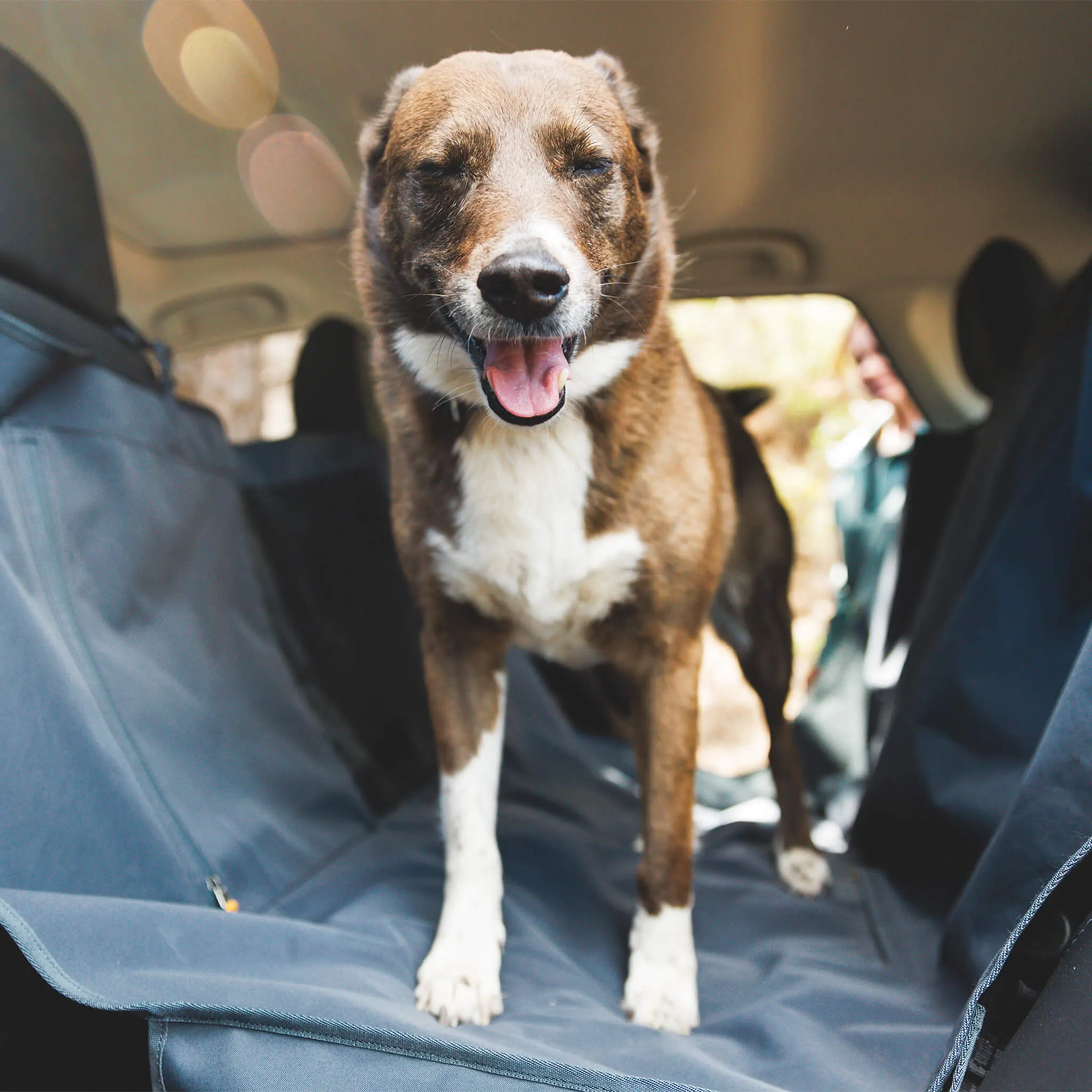 Ruffwear Dirt Bag Vehicle Seat Cover